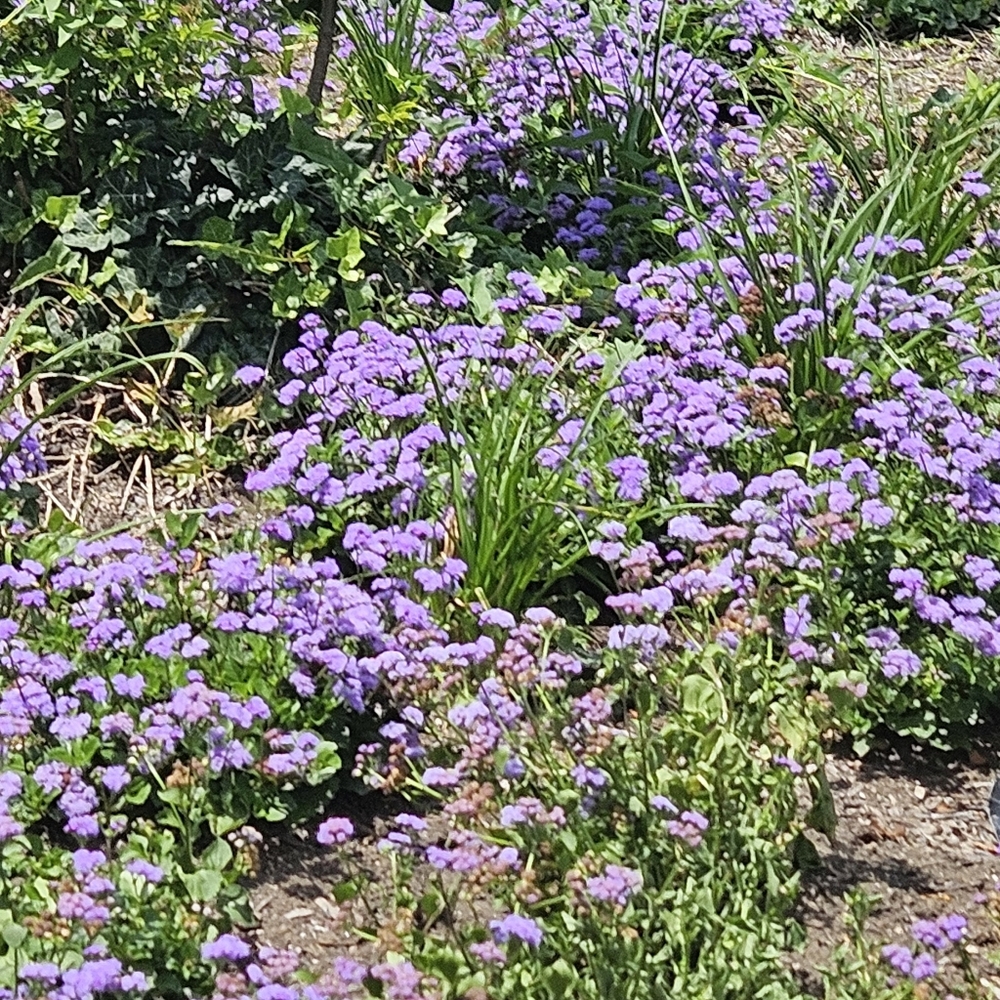 Meet your Posher, Lucy